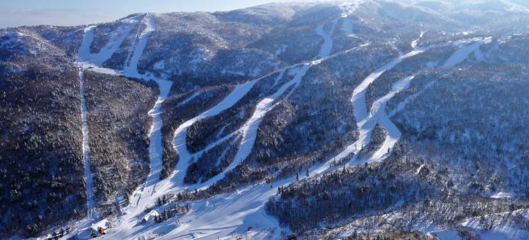 Club Med 北海道喜乐乐云栖度假村(Club Med Kiroro Peak)图片