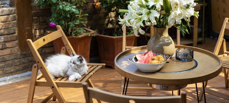 诗月精品客栈(丽江古城店)图片