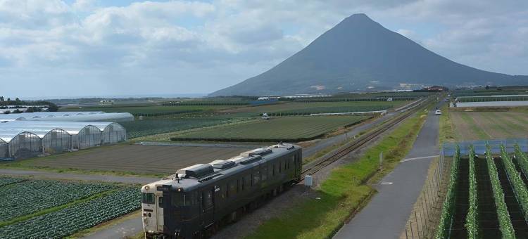 东横INN-鹿儿岛中央站东口(Toyoko Inn Kagoshima Chuo Eki Higashi Guchi)图片
