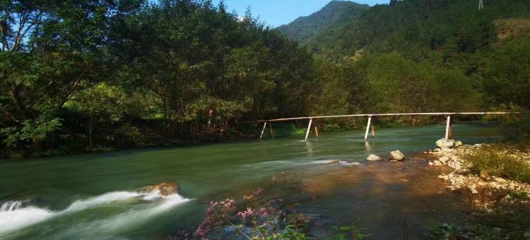 松阳泉沚·白峰民宿图片