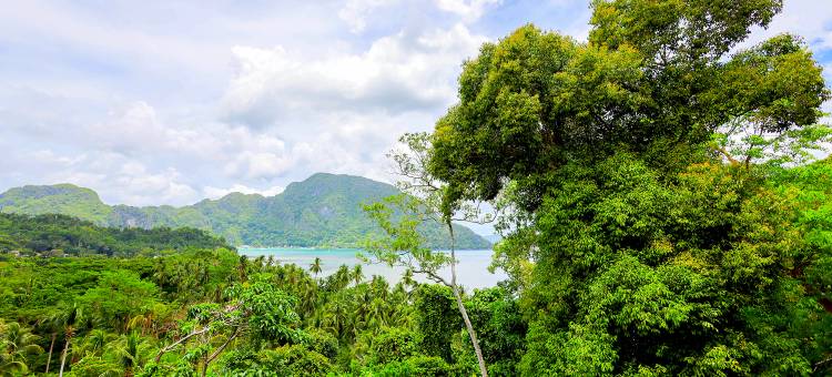 利希姆度假村(Lihim Resorts)图片