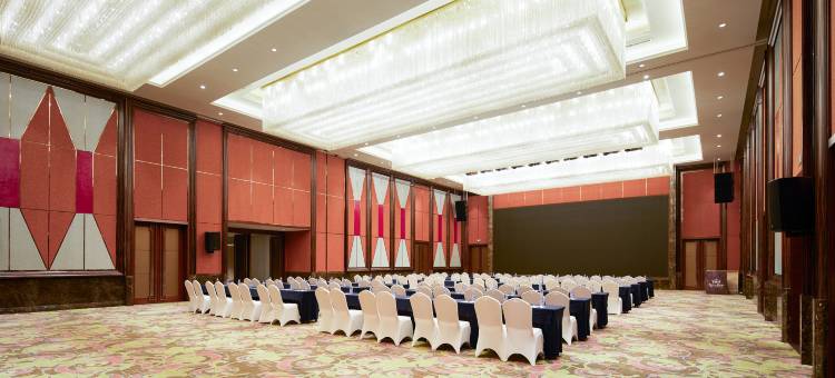 江油顺辉·铂晶巴登酒店图片