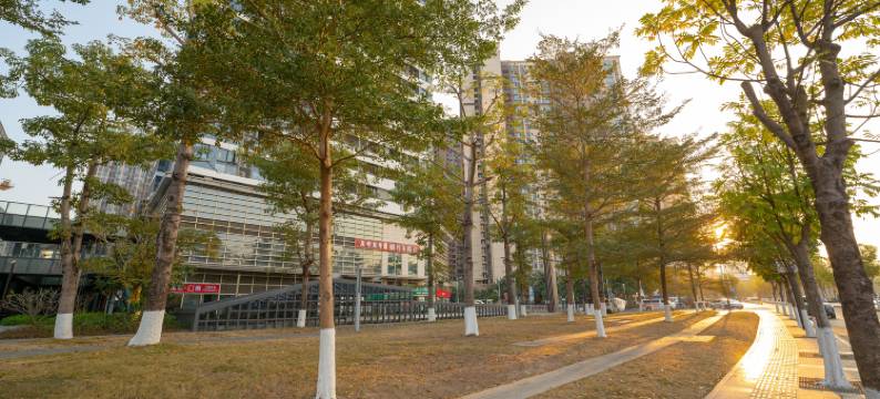 忠隆影视公寓(深圳坪山高铁站锦龙地铁站店)图片