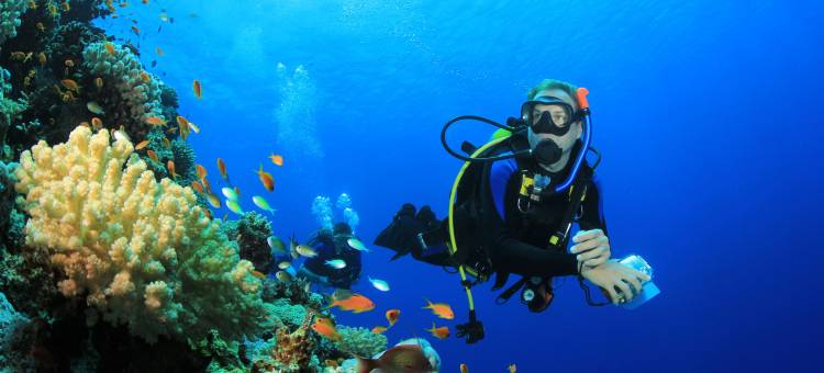 和歌山南部美爵温泉度假酒店(Grand Mercure Wakayama Minabe Resort & Spa)图片