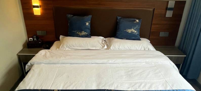 朗悦酒店(扬州东关街个园店)图片