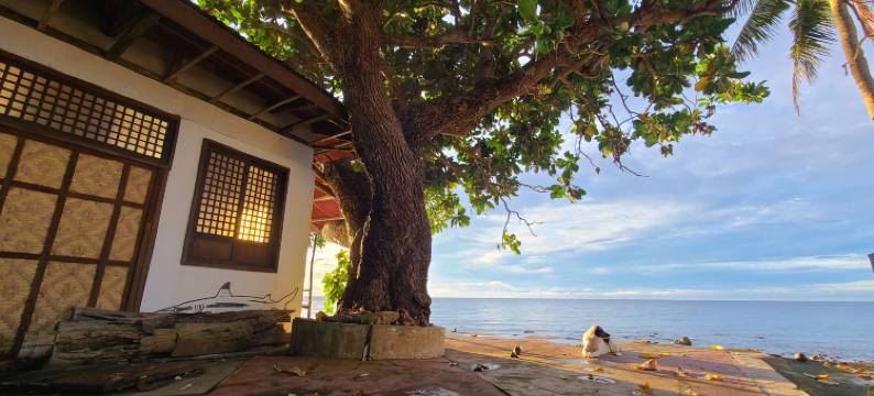 帕希尔德尔玛潜水度假酒店(Paseo Del Mar Seaside Inn)图片