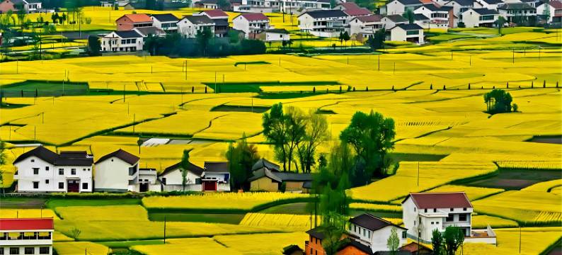 古龙酒店(汉中高铁站/万邦店)图片