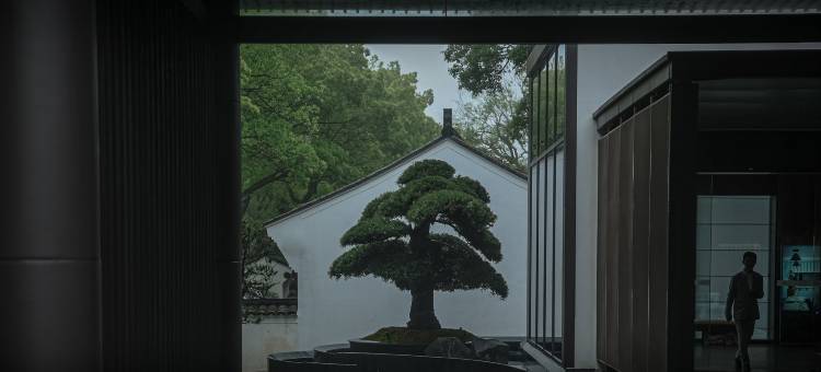 普陀山柏沅酒店图片