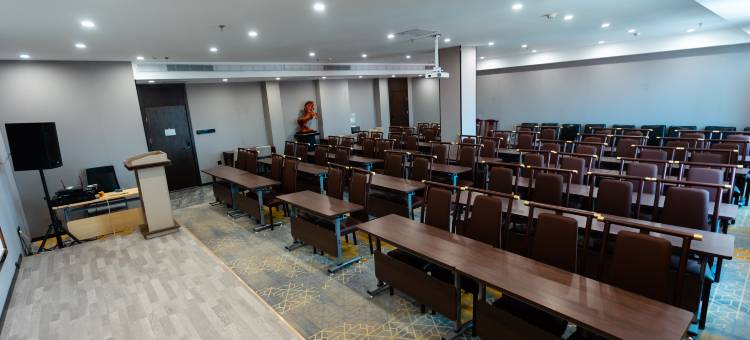 成武舜天国际大酒店图片