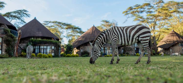 奈瓦沙·索帕湖小屋(Lake Naivasha Sopa Resort)图片