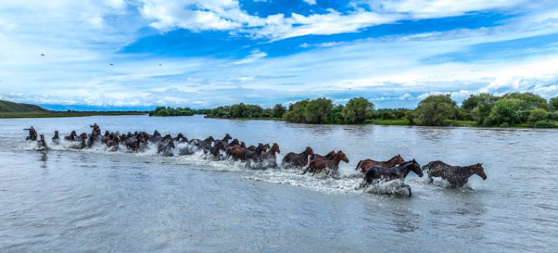 昭苏村居民宿图片