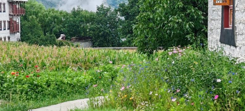 丹巴丹路燃道民宿(中路藏寨景区店)图片