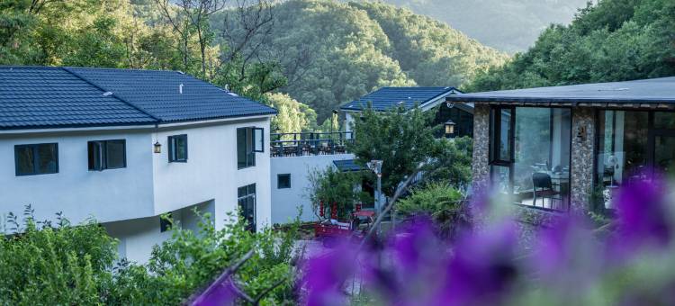鲁山那年那夕民宿图片