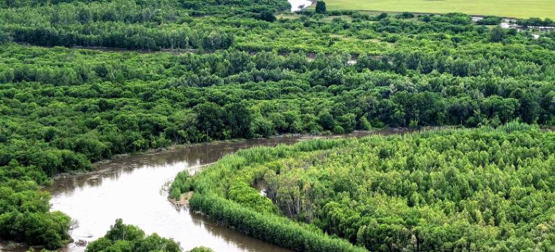 金毡苑民宿(额尔古纳湿地店)图片