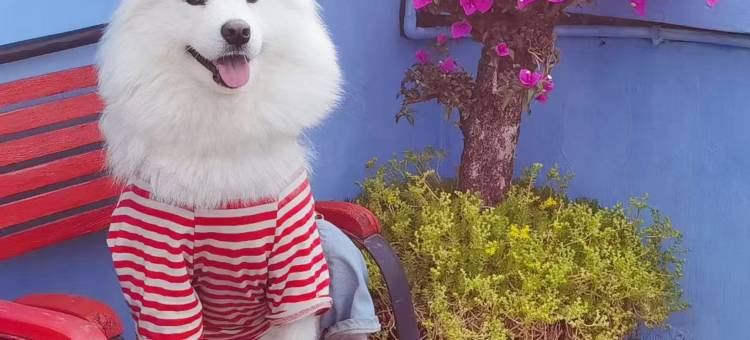 花筑·腾冲清然居客栈(和顺古镇店)图片