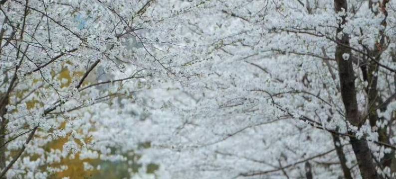 绍兴兰亭璞燊酒店图片