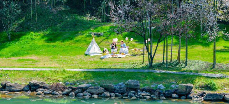 池州平天半岛大酒店图片