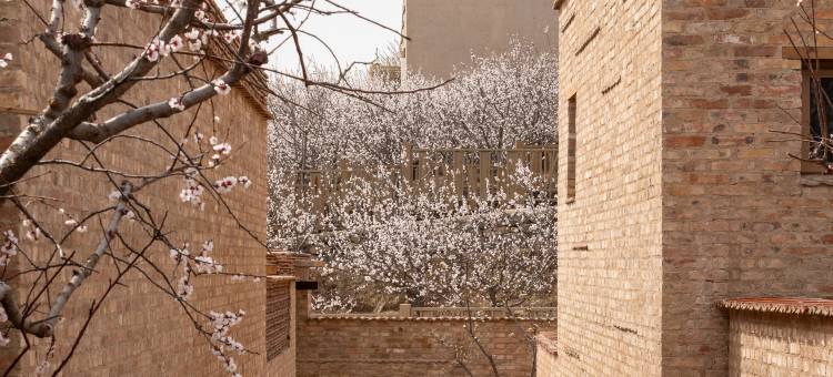 山与树民宿图片