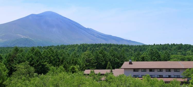ANA轻井泽假日酒店(ANA Holiday Inn Resort Karuizawa)(Holiday Inn Resort Ana Karuizawa by IHG)图片