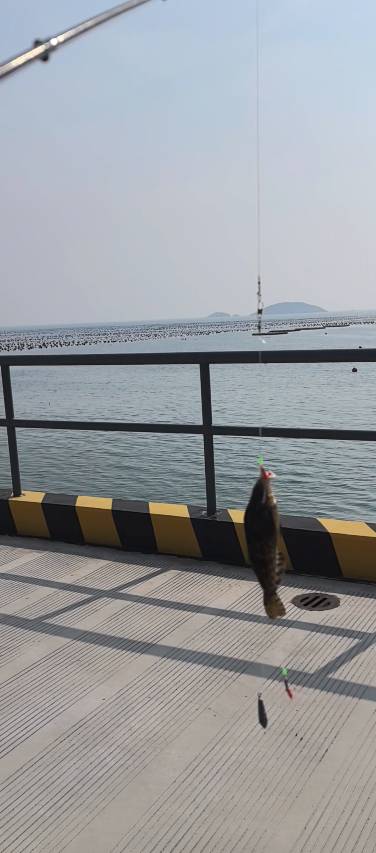 嵊泗亿承轻奢海景悬崖美宿(嵊山枸杞景区店)图片