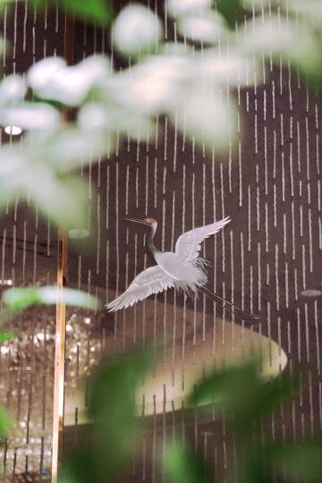 沈阳香格里拉图片