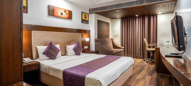 德里帕哈甘吉国王酒店(Hotel le Roi Near New Delhi Railway Station)图片