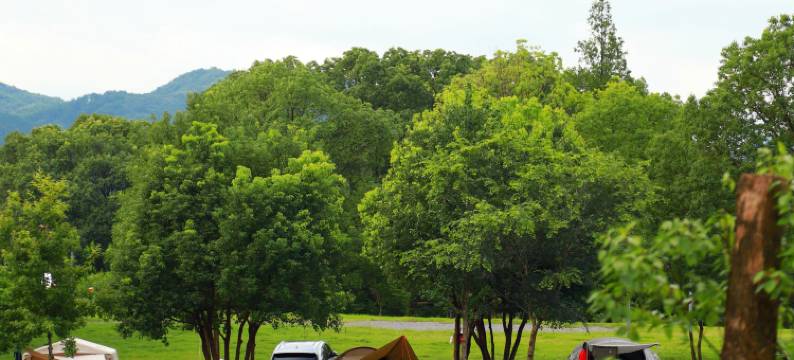 山风渔火·长兴湖心岛营地图片