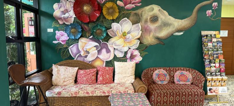 清迈楚昌大象主题民宿(Chor Chang House Chiang Mai)图片