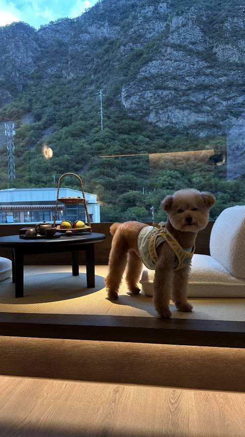 卓邸康钦私汤温泉(理县古尔沟店)图片