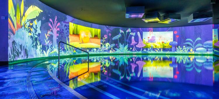 清远长隆长颈鹿城堡酒店图片