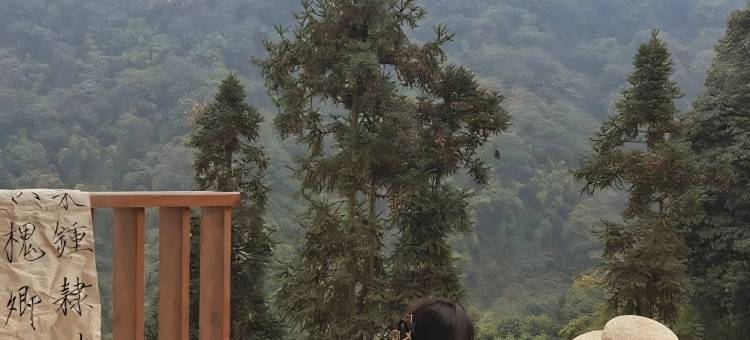 邛崃竹上花楸民宿图片