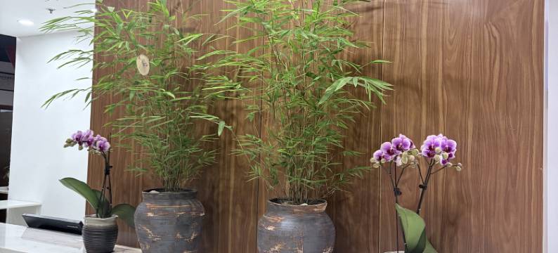 锦江之星品尚酒店(北京首钢园苹果园地铁站店)图片