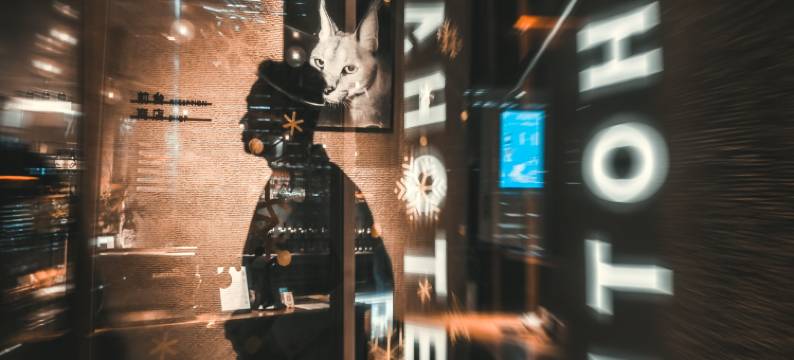 厦门NOA诺岸酒店图片