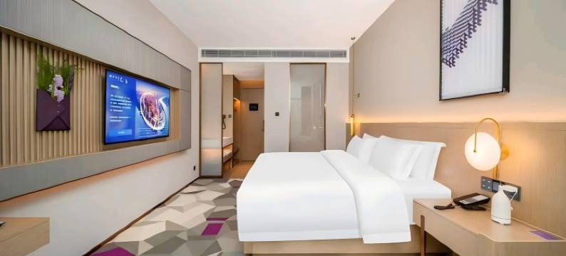 麗枫酒店(郑州新郑国际机场航站楼店)图片