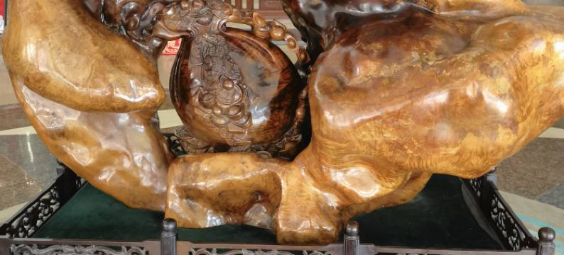 驻马店颐和山庄宾馆(玖隆茂购物中心店)图片