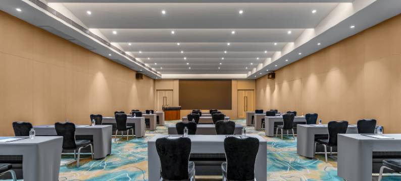 天津生态城万达悦华酒店图片