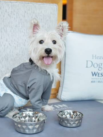 宜尚酒店(遵义会议会址医学院店)图片