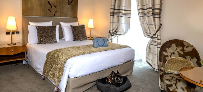 小法兰西瑞晶水疗酒店(Hôtel & Spa RÉGENT Petite France by Stay Collection)图片