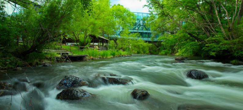 长白山在之禾度假酒店·二道白河店图片