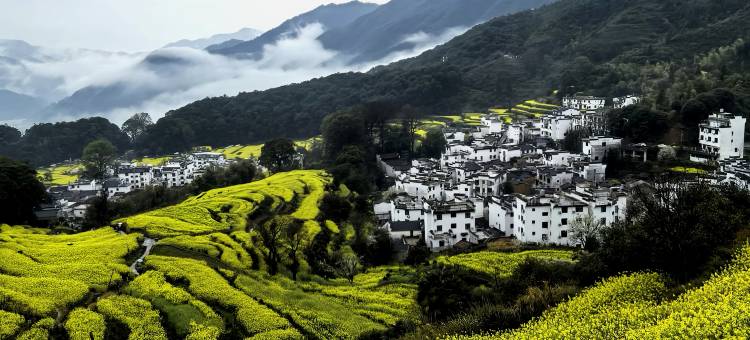 印象婺源・Wuyuan Impression主题美宿(李坑风景区店)图片
