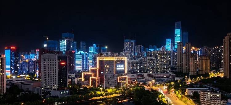 武汉友谊国际酒店(黄鹤楼昙华林店)图片