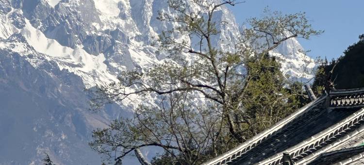 汉田丨云咖雪语•雪山全景民宿(丽江古城黑龙潭店)图片