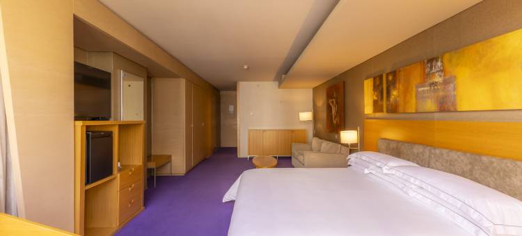 墨西哥城圣达菲巴塞罗酒店(Barceló México Santa Fe)图片