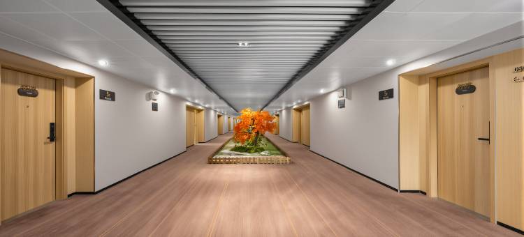 云畔美星Hotel(香洲明珠轻轨站店)图片