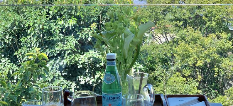 俊媛全海景美宿(大理店)图片