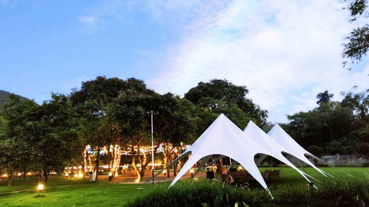 竹林源野嗨轻野营地图片