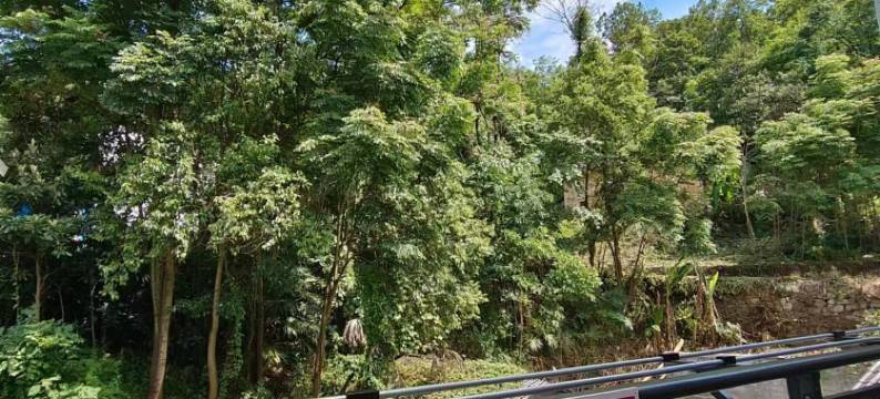 建始地心谷启丰民宿酒店图片