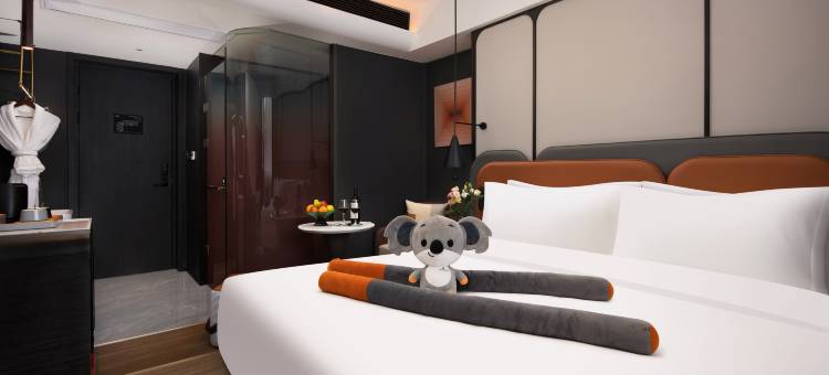 朵兰达V酒店(岳阳楼步行街店)图片