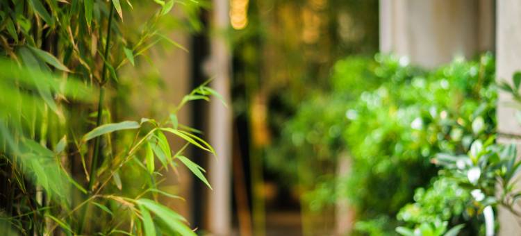 龚禧里·初见酒店(昆明老街店)图片