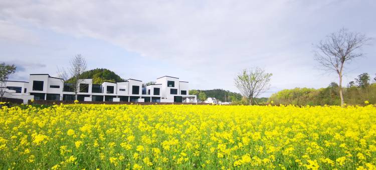 黄山休宁田居里艺术度假村Villa Hotel图片
